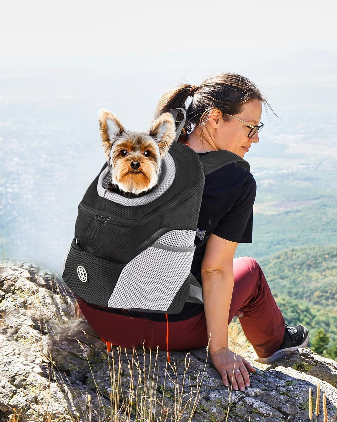 PETCUTE Hundetragerucksack,Verstellbarer Haustier Rucksack für Kleine Hunde und Katzen,Gepolsterter