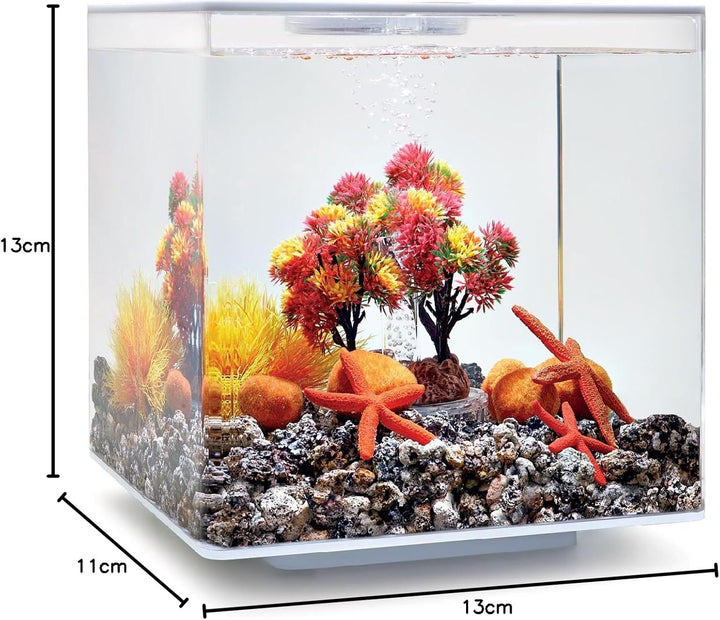 biOrb 55024 Decor Set 15L Herbst - herbstliches, farbenfrohes Aquarien-Dekor / geeignet für 15 l biO