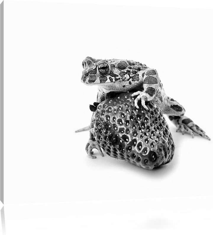 Pixxprint Glas Erdbeere Frosch / 100x70cm Leinwandbild bespannt auf Holzrahmen/Wandbild Kunstdruck D