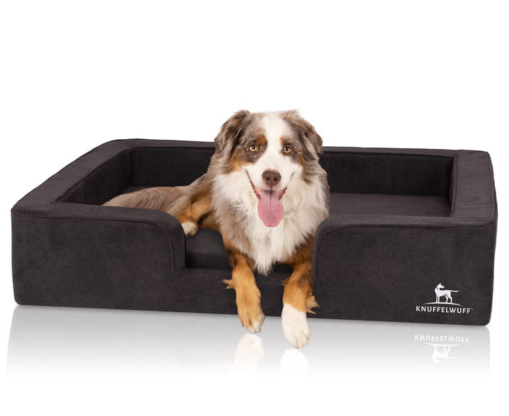 Knuffelwuff orthopädisches Hundebett mit Wendekissen aus Velours Bellamy 80 x 60cm Schwarz, 80 x 60c