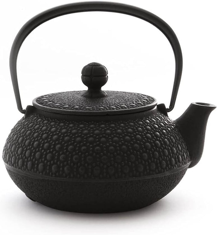 Iwachu Teekanne Gusseisen. Japanische Kyusu Kikko Original, Schwarz 650ml, 0,65 Liter Sieb-Einsatz E
