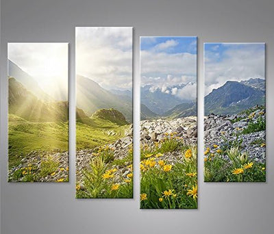 islandburner Bild Bilder auf Leinwand Bergwiese V2 Alpen Landschaft Berge Sonne 4er XXL Poster Leinw