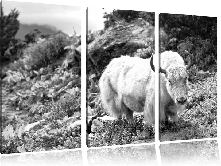 Pixxprint Schönes Yak Himalaya Kunst B&W / 3-Teilig/Gesamtmass 120cm Leinwandbild bespannt auf Holzr