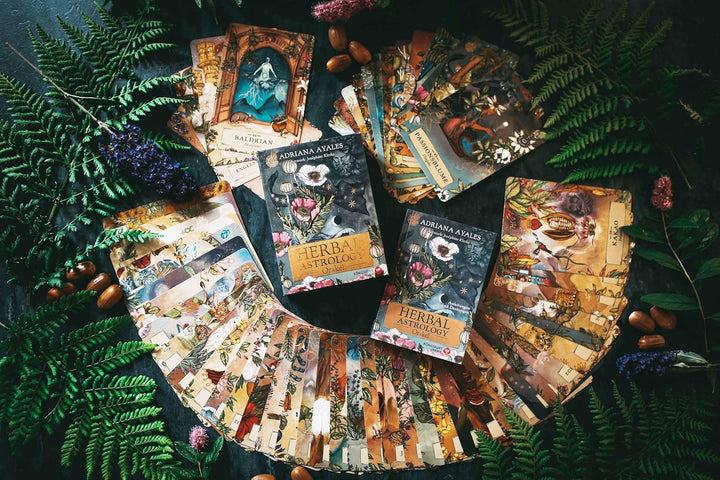 Herbal Astrology Orakel: 55 Karten mit Botschaften und Anleitungen (Stülpdeckelschachtel mit Goldprä