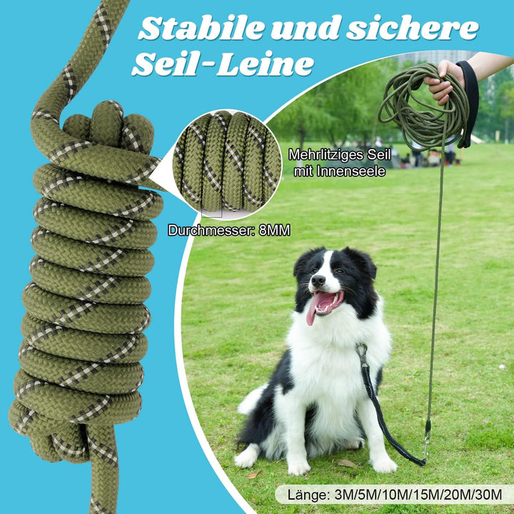 Aystkniet Bungee Schleppleine für Hunde 3M 5M 9M 10M 15M 20M 30M, Schockabsorbierende Hundeleine mit