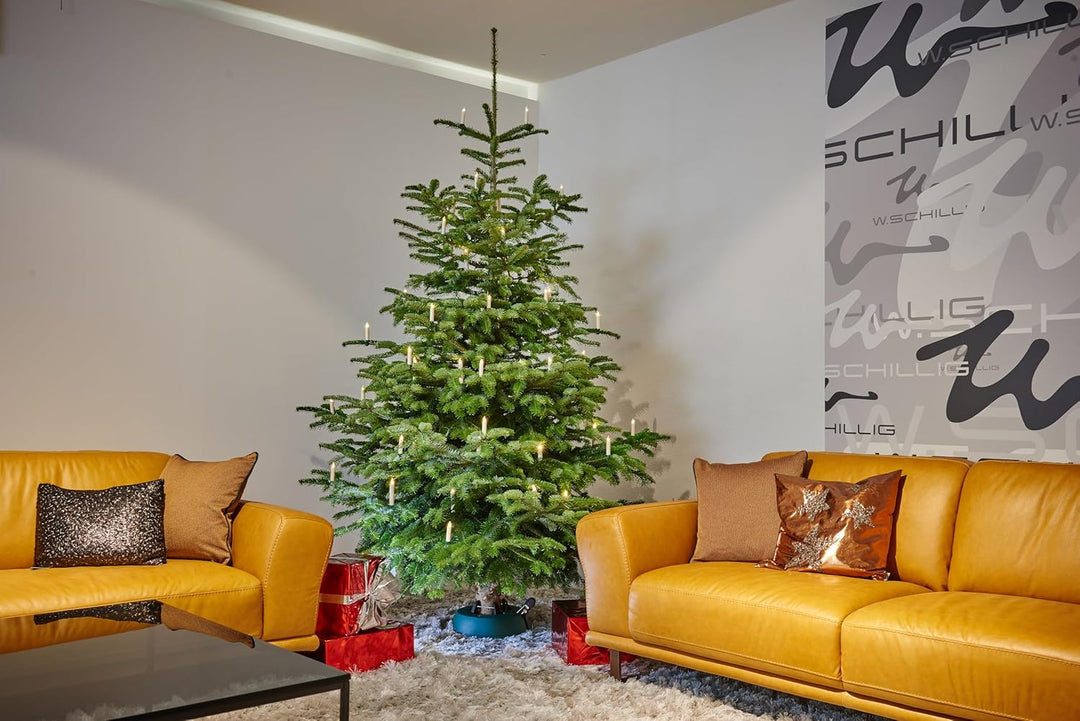 Unbekannt Baum Fix 220 Christbaumständer, Kunststoff, Grün, 34 cm