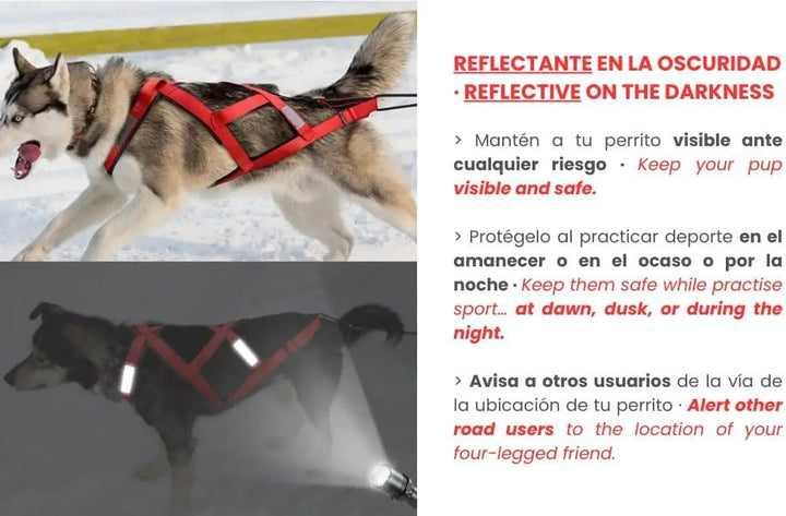 Total Sportgeschirr mit Hund, Laufen, Canicross, Schlitten, Mushing, Fahrrad, Roller... (XXL, Schwar