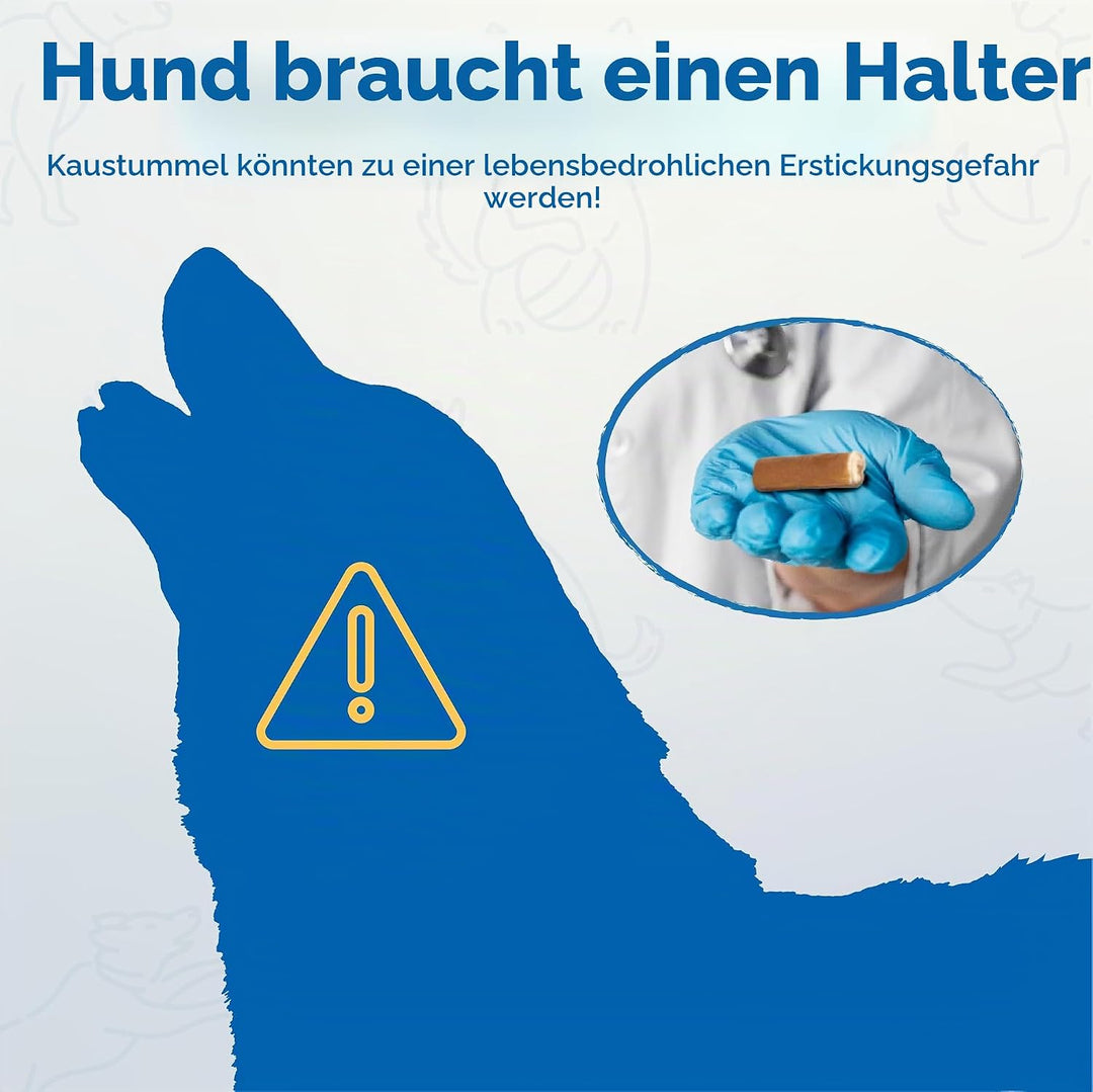 PetClan Chewise Bully Stick Halter – Sicherheit &amp; Robustes Design, BPA-frei, Sicherer Ochsenziemer-H