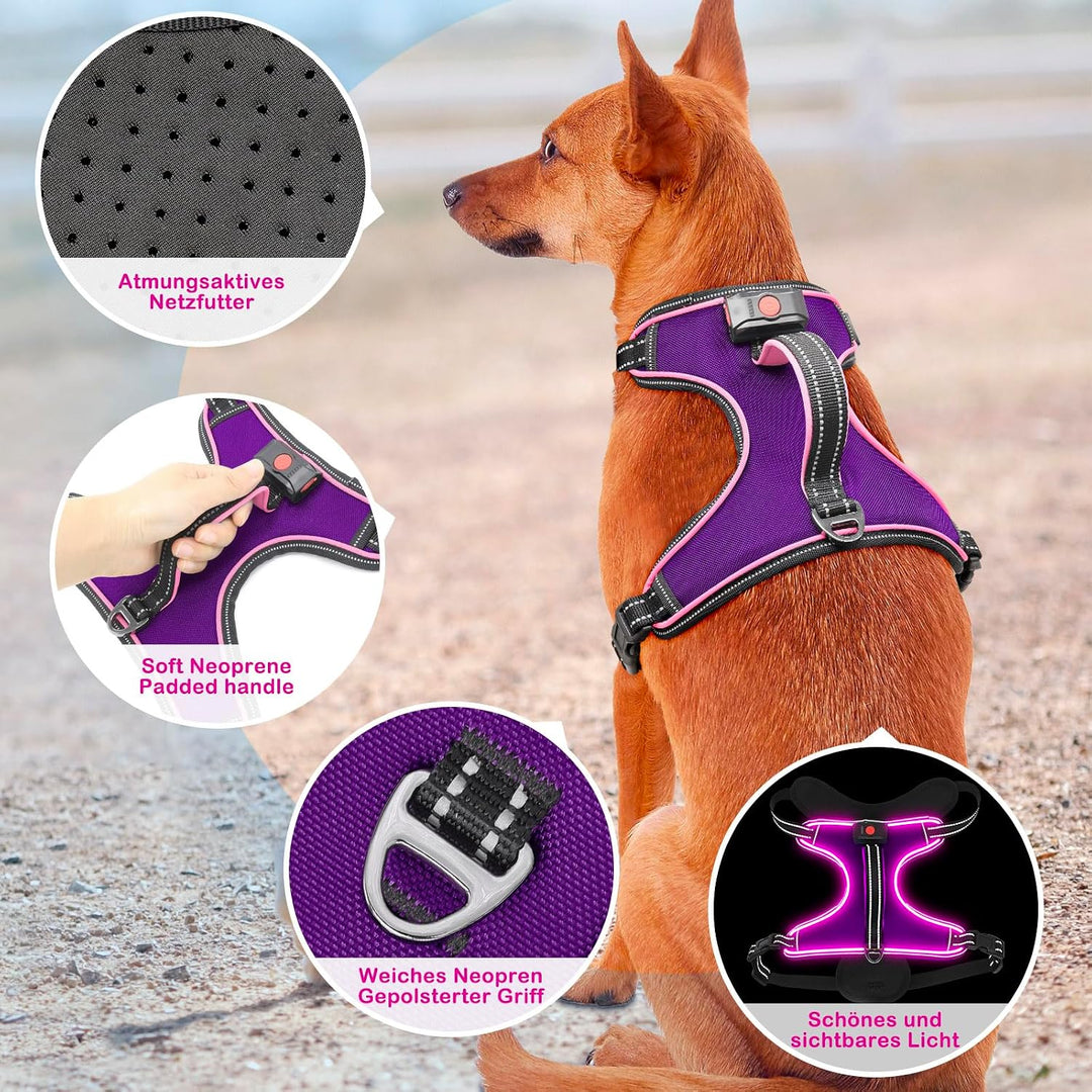 Hundegeschirr Leuchtend Wiederaufladbares Leuchtgeschirr für Hunde Led Beleuchtetes Hundegeschirr fü
