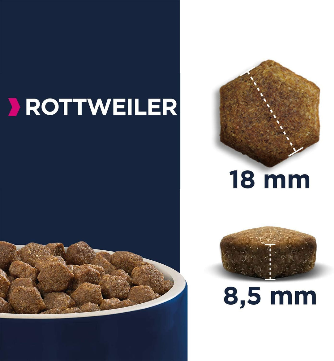 Eukanuba Breed Specific Rottweiler Trockenfutter - optimal auf die Rasse abgestimmtes Premium Hundef