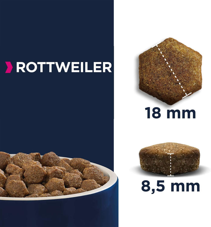 Eukanuba Breed Specific Rottweiler Trockenfutter - optimal auf die Rasse abgestimmtes Premium Hundef