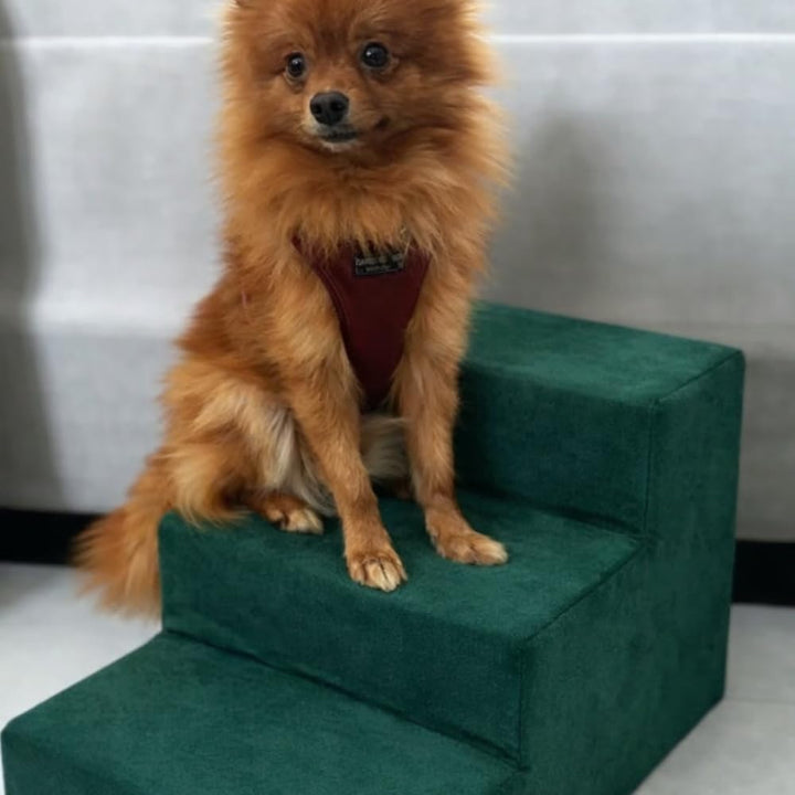 Sofatreppe für Hunde und Katzen – Hundetreppe für Bett & Sofa – 3- oder 4-stufig, rutschfest & wasch