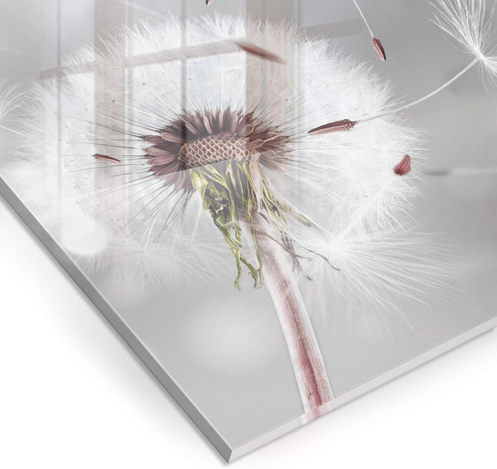 murando Spritzschutz Glas für Küche 60x60 cm Küchenrückwand Küchenspritzschutz Fliesenschutz Glasbil