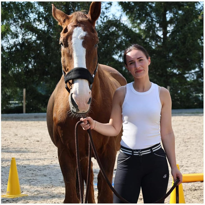Dönges Tasche für Pylonen (Agility Bodenarbeit Hundesport Outdoortasche Reitsport Reittraining Marki