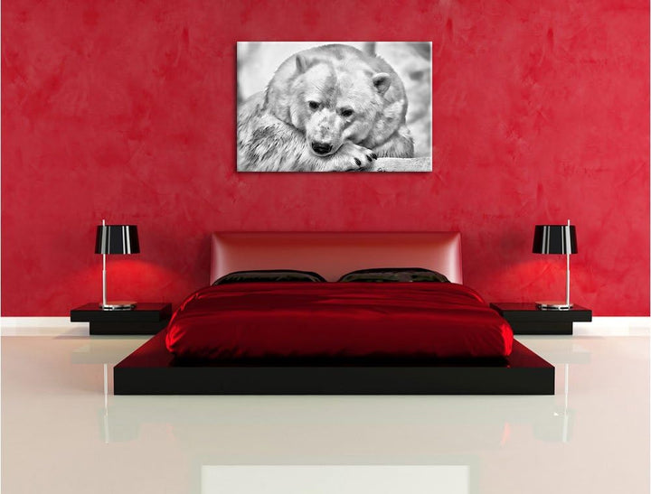 Pixxprint Nachdenklicher Eisbär / 100x70cm Leinwandbild bespannt auf Holzrahmen/Wandbild Kunstdruck