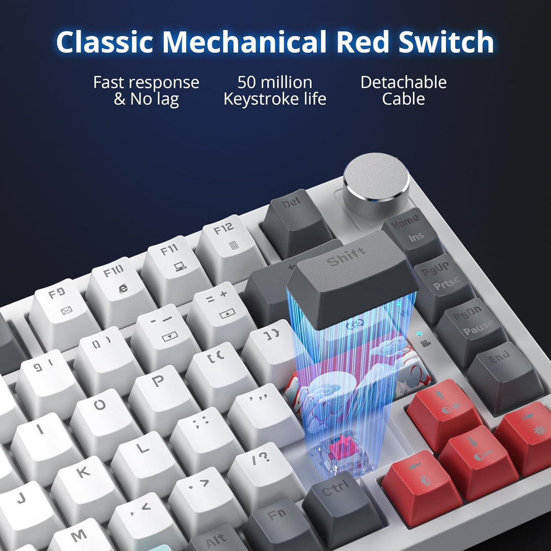 SOLIDEE 75% mechanische Gaming-Tastatur,hot-swap-fähige Tastatur mit rote Schalter,RGB-Hintergrundbe