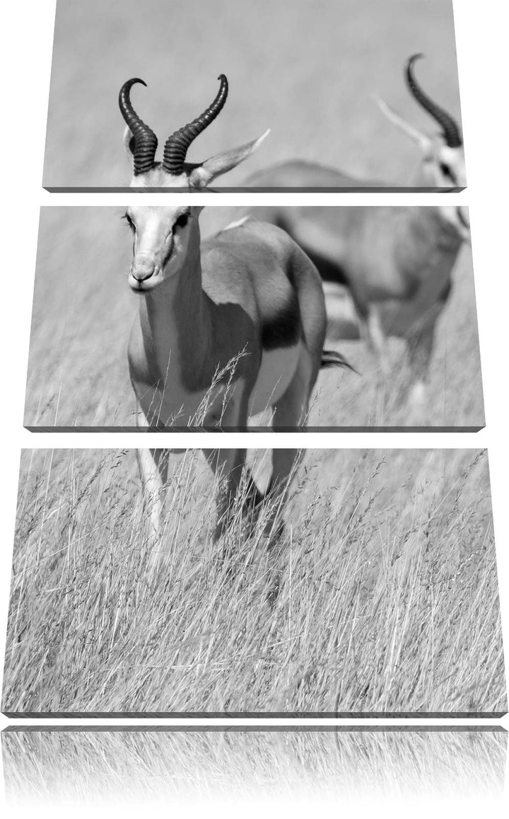 Pixxprint Tiere in Savanne, Rehe, Afrika als Leinwandbild/Grösse: 3 Teilig (120x80) cm/Wandbild/Kuns
