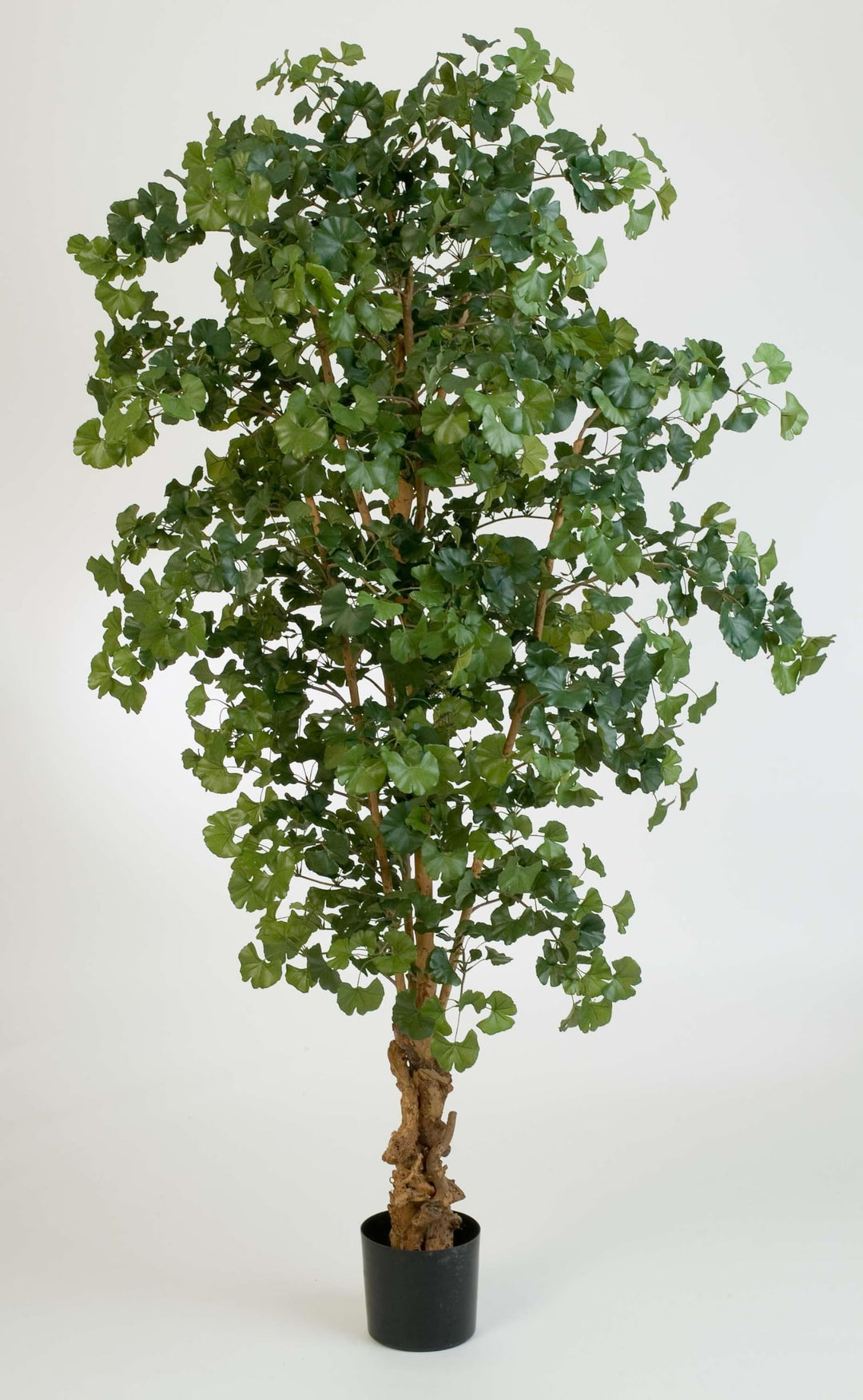 artplants.de Künstlicher Ginkgo - Baum, 1612 Blätter, 210cm - grosser Kunstbaum - Künstliche Pflanze