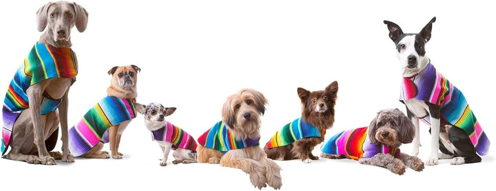 Hundebekleidung, handgefertigter Hundeponcho aus authentischer mexikanischer Decke, Blau, Grösse XXS