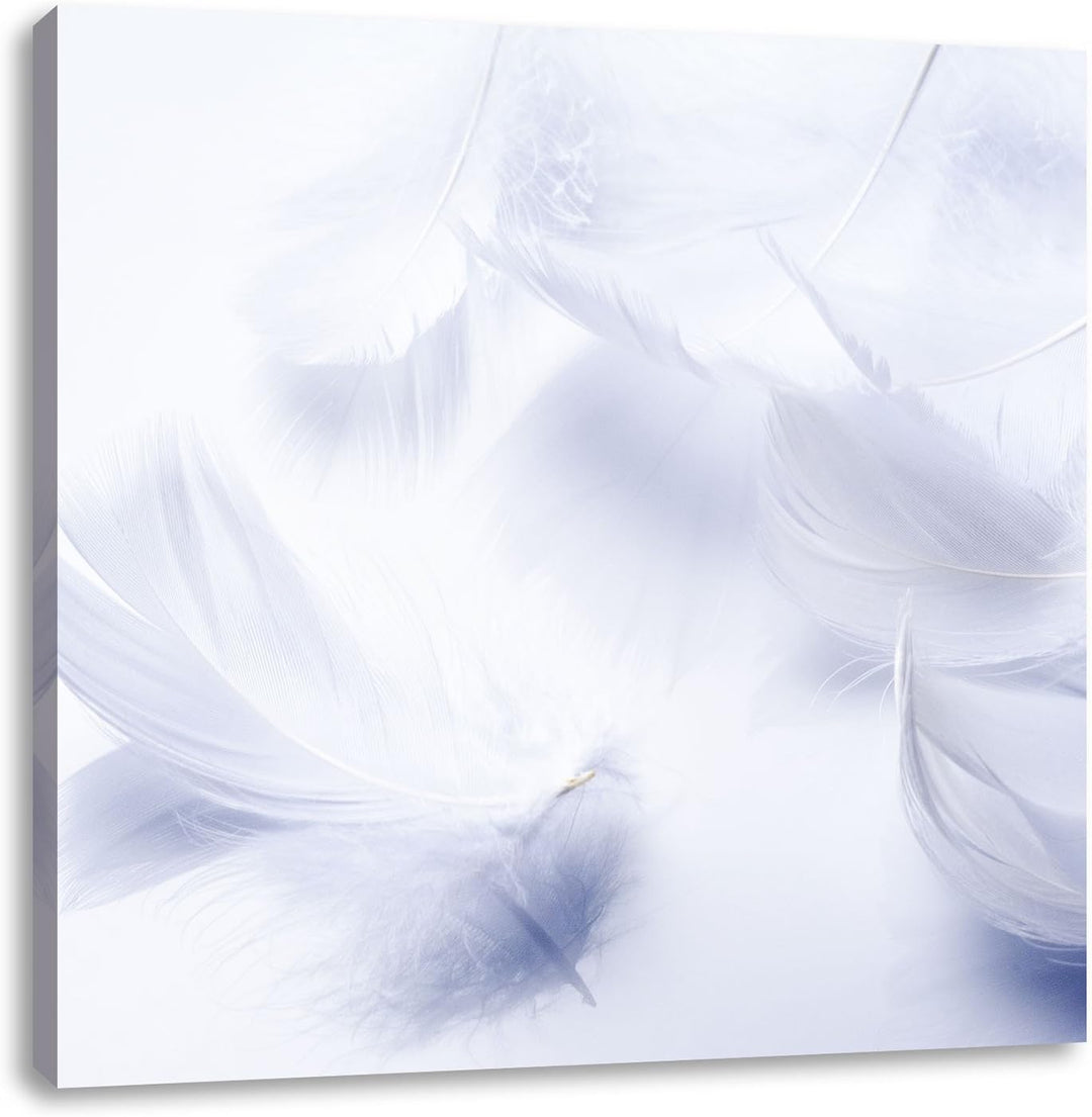 Pixxprint Weisse Feder auf schwarzem Stein als Leinwandbild | Grösse: 70x70 cm | Wandbild | Kunstdru