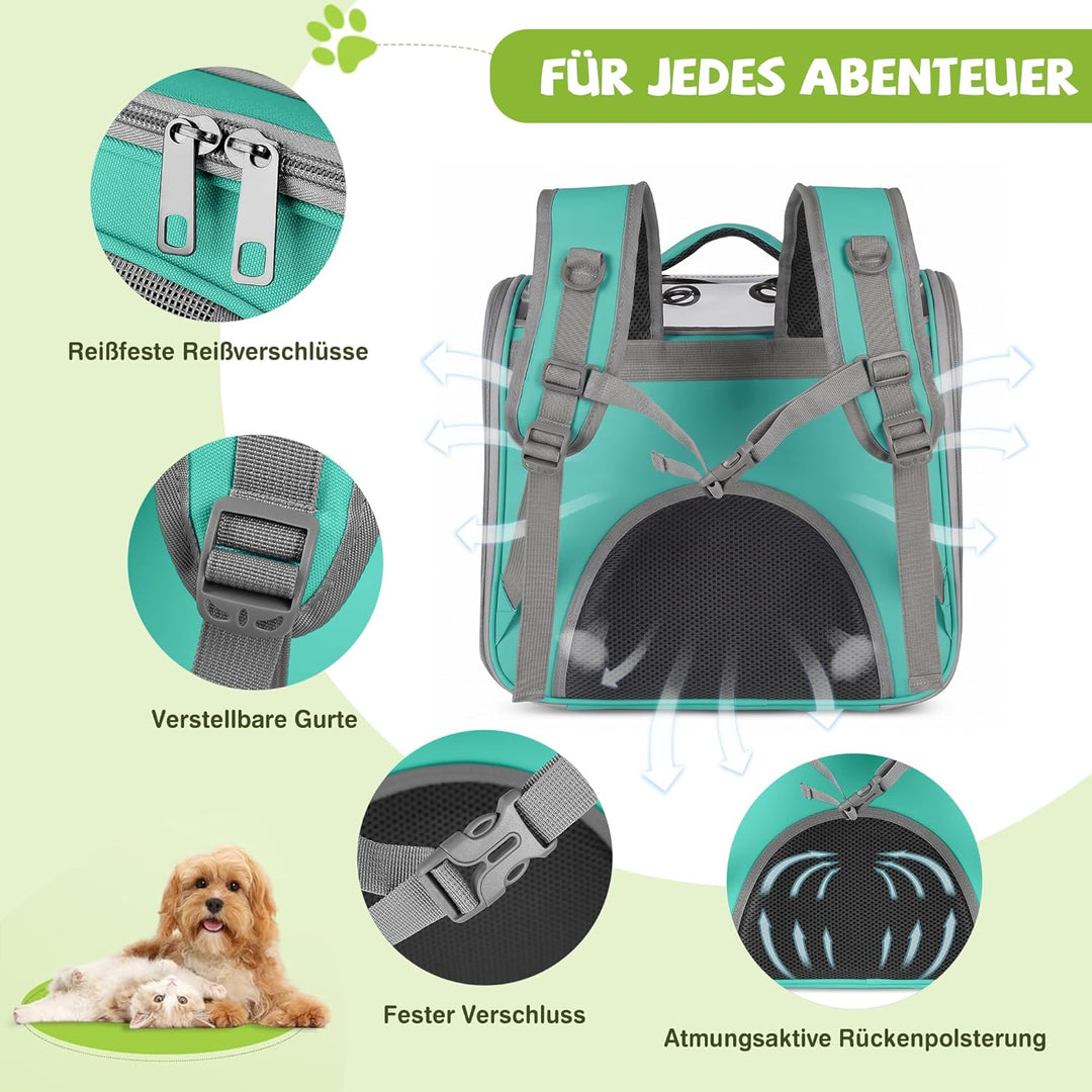 ALLSOPETS Katzenrucksack Faltbar Haustierrucksack mit Frontöffnung und Atmungsaktives Netzfenster Hu