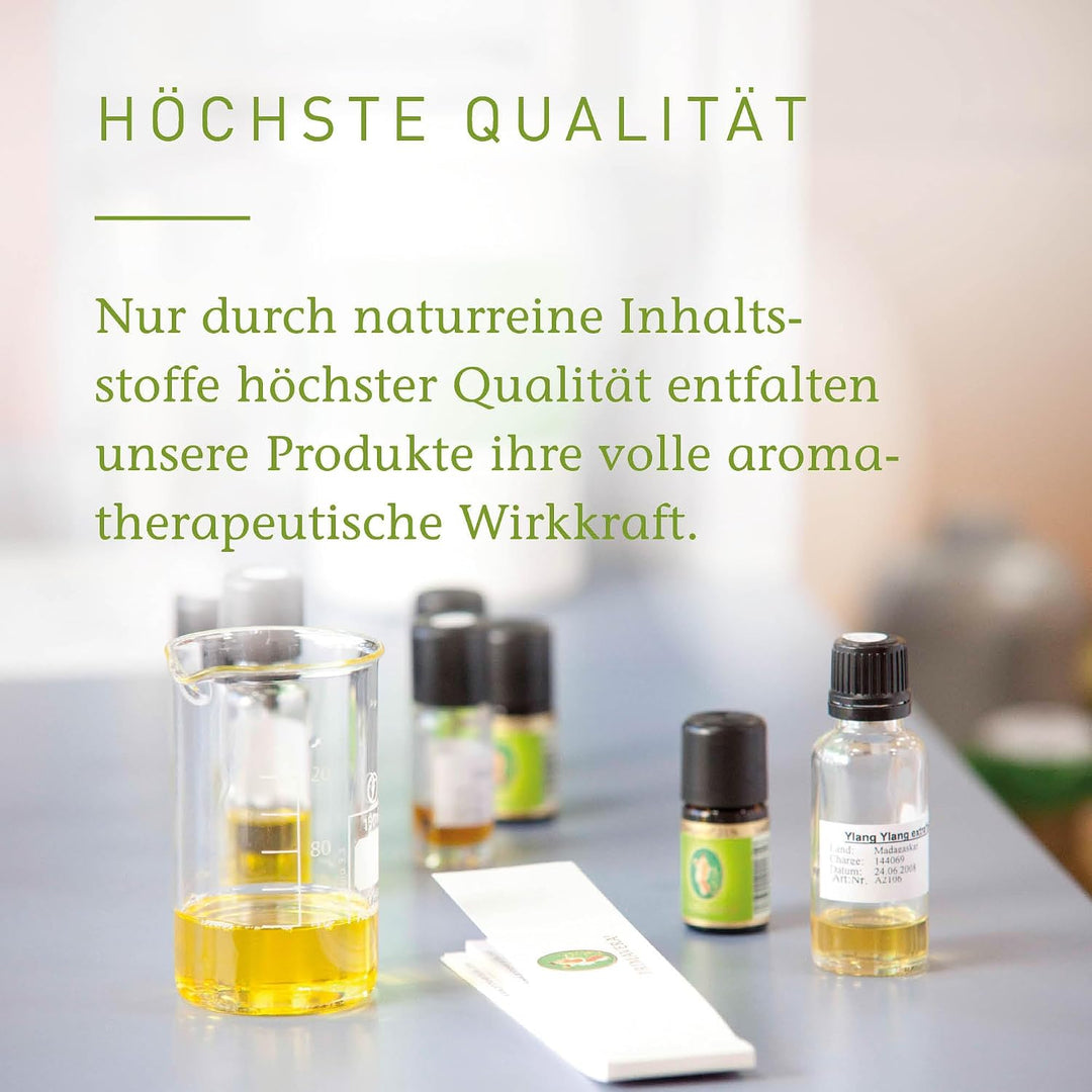 PRIMAVERA Waldgefühl Aroma Sauna bio 100 ml - Saunaöl, Aromatherapie – waldig-frischer Duft – stärke