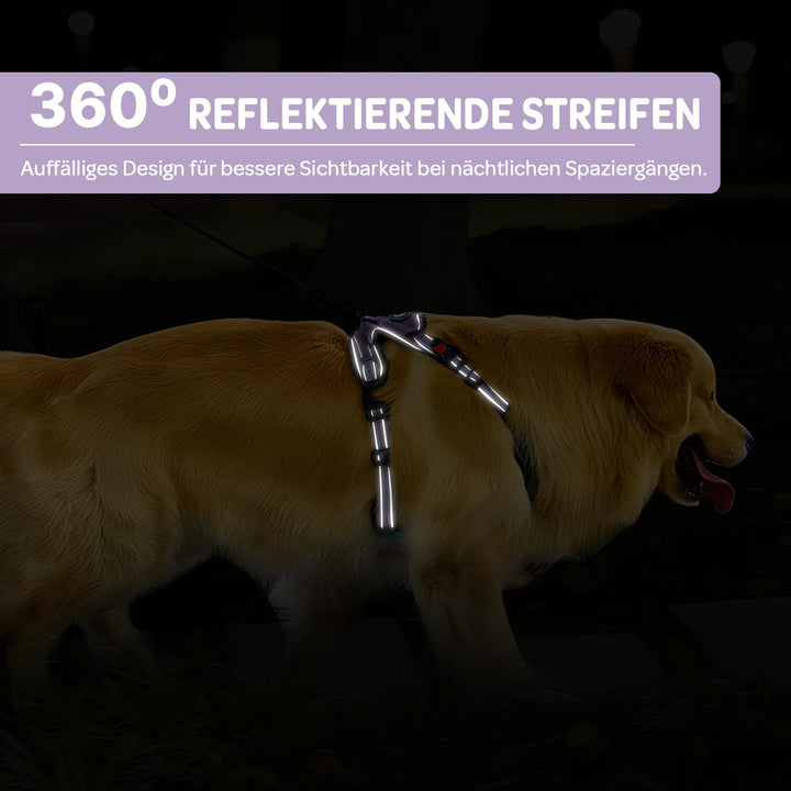 FURRYFECTION Hundefreileinengeschirr Zugfrei Würgfrei, Reflektierendes Oxfordgewebe, Polsternder Gri