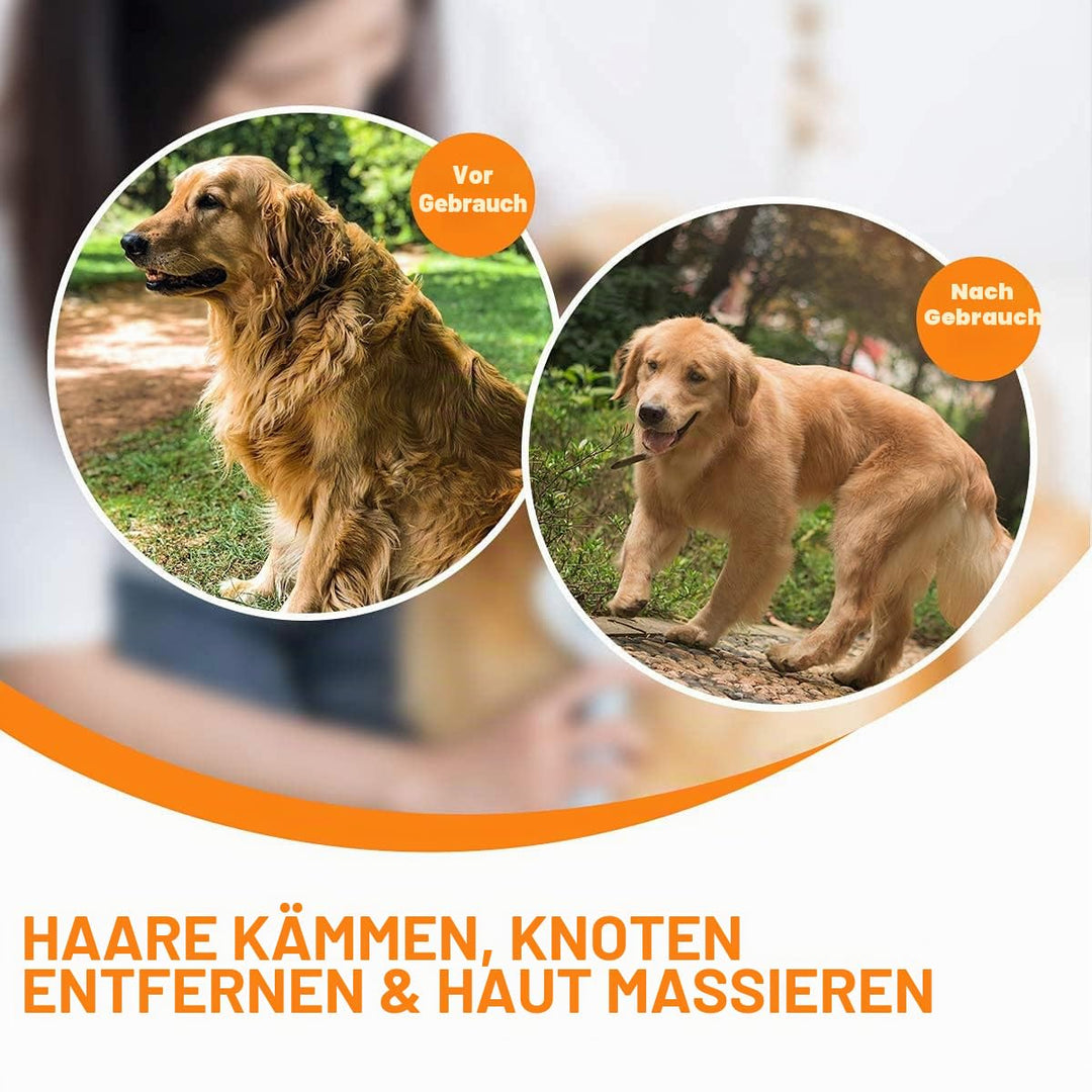 Hundebürste & Katzenbürste, Doppelbürste für Hunde und Katzen, Pin Hundebürste für Knoten & Unterfel