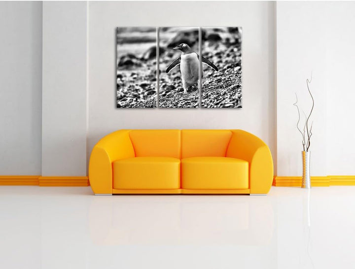 Pinguine als Leinwandbild | Grösse: 3 Teilig (120x80) | Wandbild| Kunstdruck | fertig bespannt
