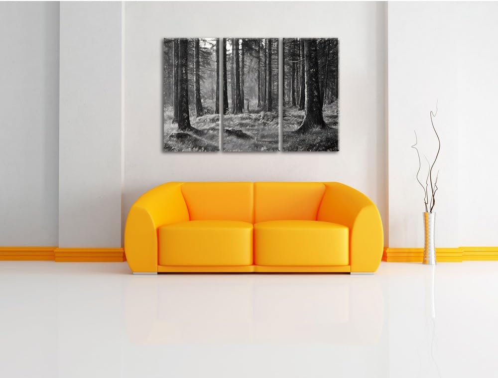 Pixxprint sonniger Tag im Wald / 3-Teilig/Gesamtmass 120cm Leinwandbild bespannt auf Holzrahmen/Wand