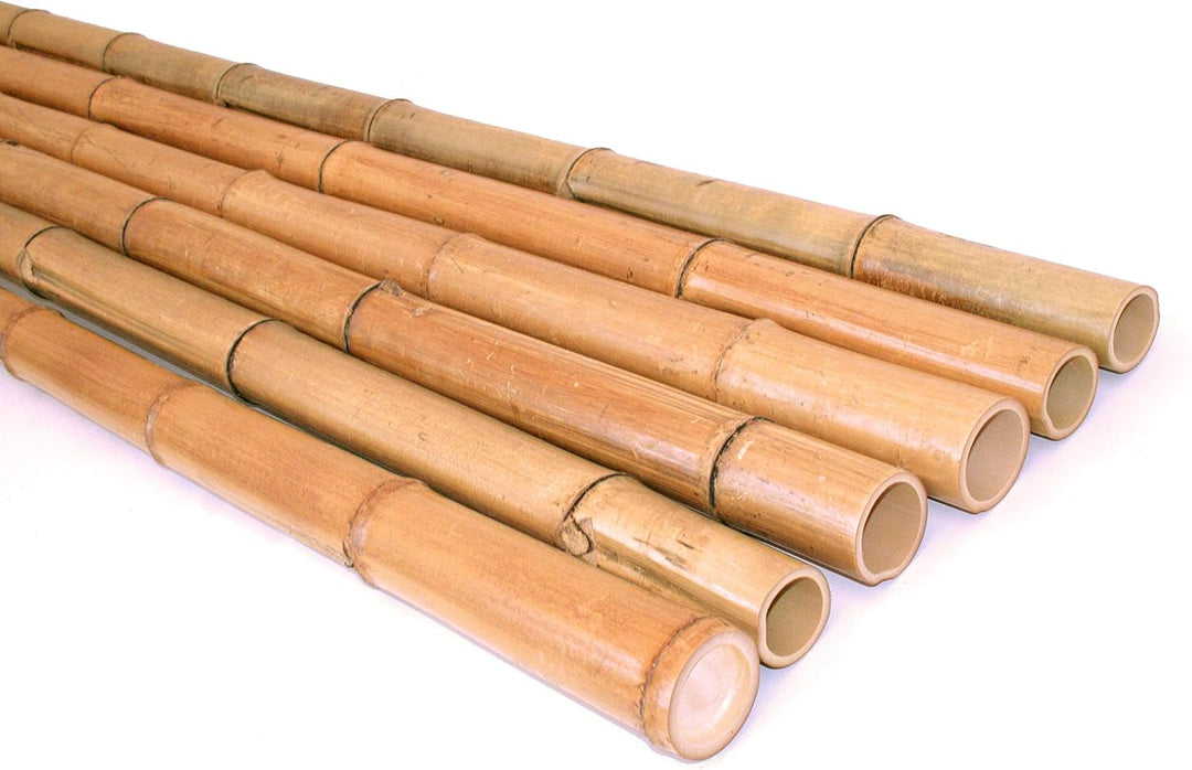 bambus-discount.com 6 Stück Bambusrohr 300cm gelbbraun Durchmesser 5 bis 6cm, hitzebehandelt - 3m La