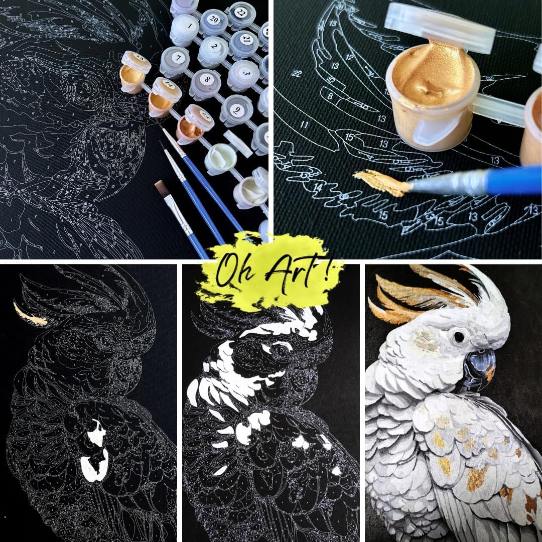 Oh Art! Malen Nach Zahlen Erwachsene Paint By Numbers Adult Set Mit 3 Pinseln Acrylfarben Und Leinwa