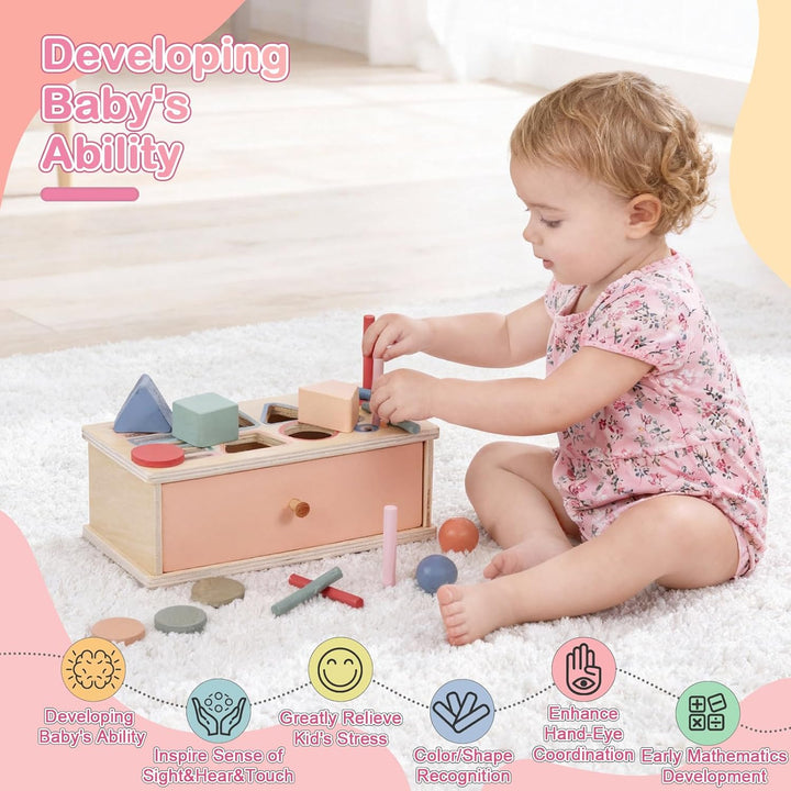 Montessori Spielzeug, 3-in-1 Holz Münzbox & Ballbox Kinder Jungen Mädchen, Objektpermanenz Box, Farb