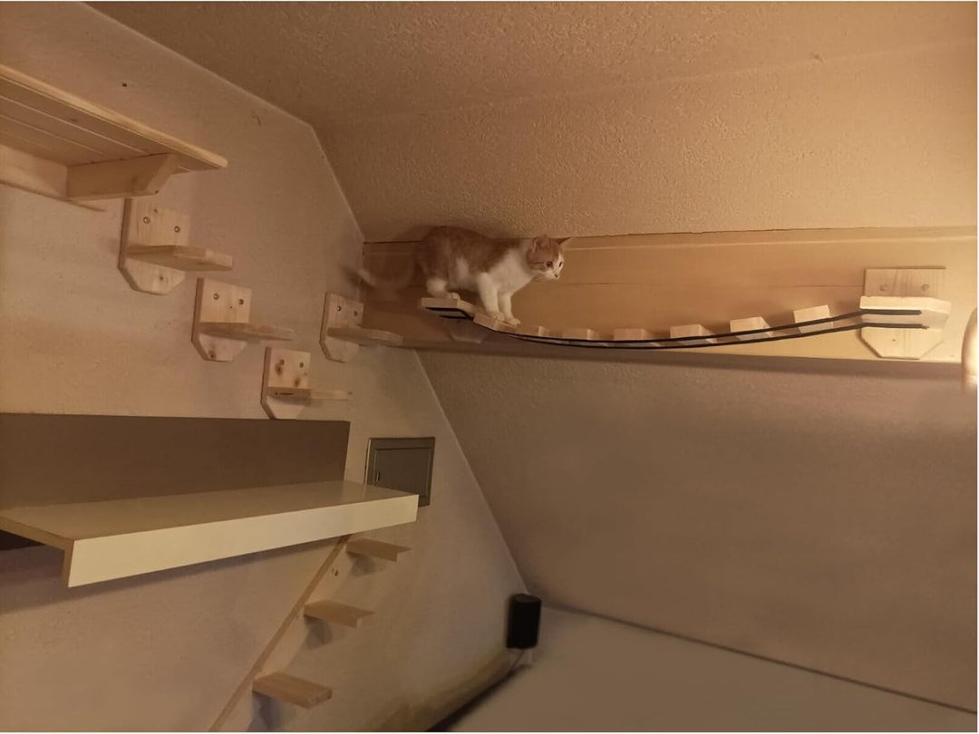 Katzenstufen Katzenleiter Katzentreppe Wandmontage Kletterwand Geflammt 5 Stufen