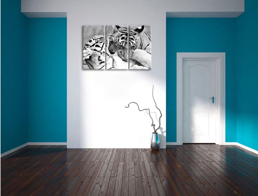 Pixxprint Tiger beim Kämpfen als Leinwandbild/Grösse: 3 Teilig (120x80 cm) cm/Wandbild/Kunstdruck/fe