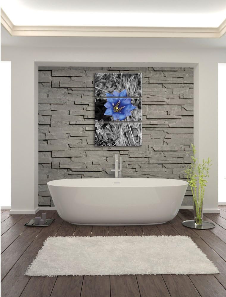 Pixxprint Süsse Blume als Leinwandbild/Grösse: 3 Teilig (120x80) / Wandbild/Kunstdruck/fertig bespan