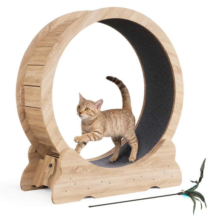 Mondeer Katzenlaufrad, 90cm Laufband mit Abnehmbaren Teppichboden für Indoor Katzen, für Kleines Mit