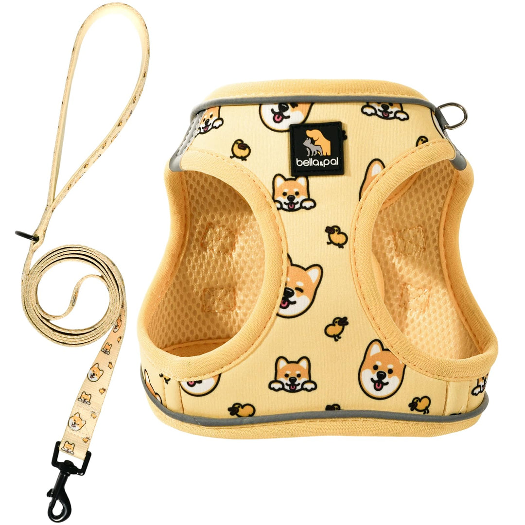 BELLA & PAL Hundegeschirr Kleine Hunde mit Leine, Step-in Geschirr aus Air Mesh, Anti Zug Reflektier