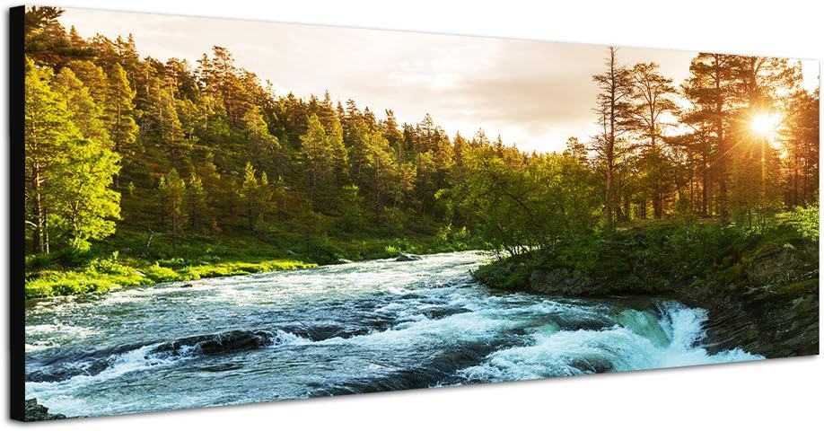 Paul Sinus Art Panoramabild auf Leinwand und Keilrahmen 150x50cm Norwegen Wald Bäume Fluss Sonnenstr