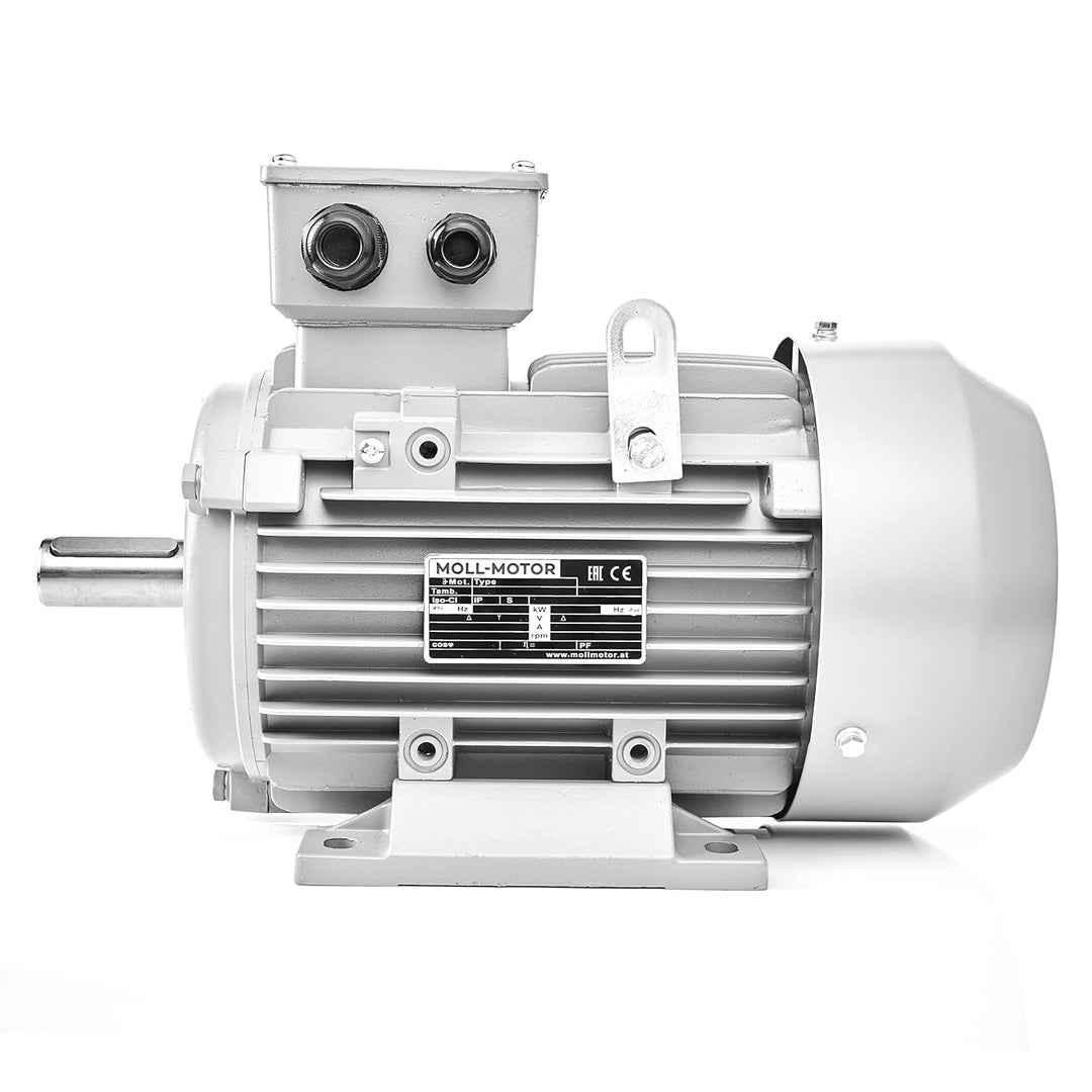 Elektromotor 0,75kW 2840rpm 3-phas. 230/400V Drehstrommotor MOLL-MOTOR Energiesparmotor S1 B3 Wellen