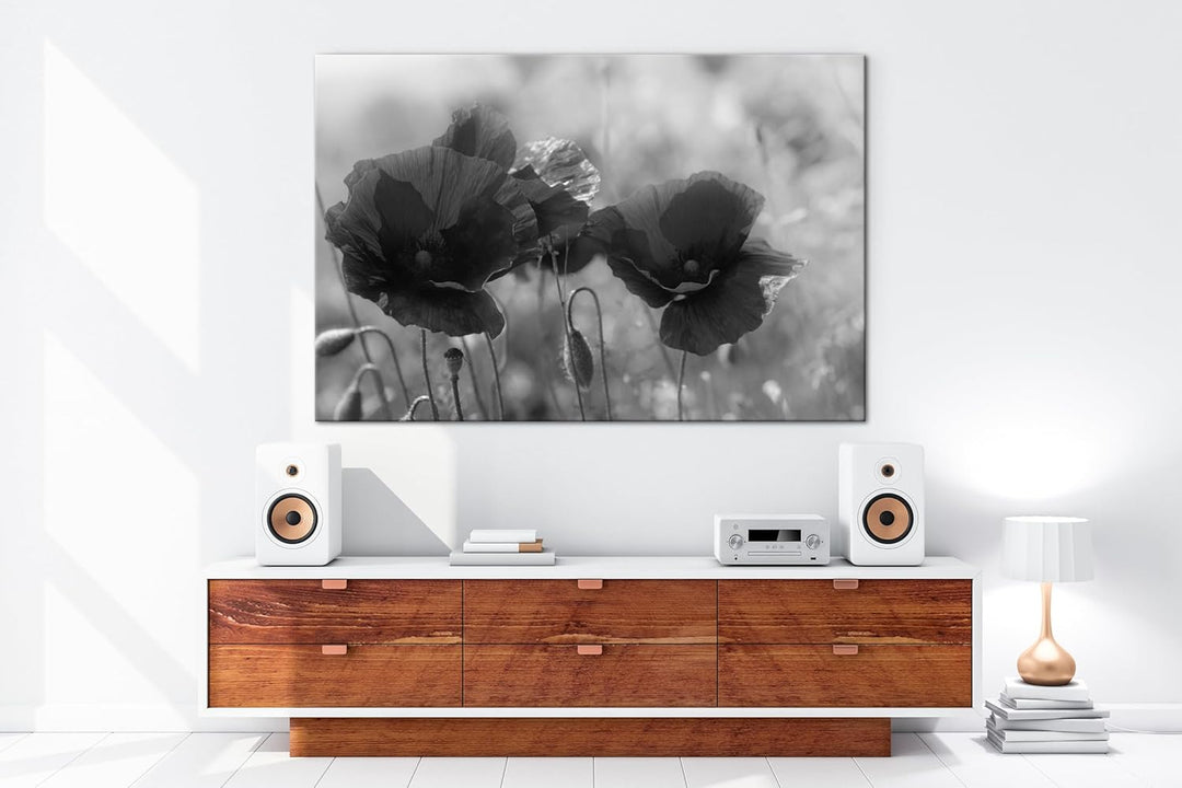 deyoli bezaubernde Mohnblumen Format: 80x60 Effekt: Schwarz&Weiss als Leinwandbild, Motiv fertig ger