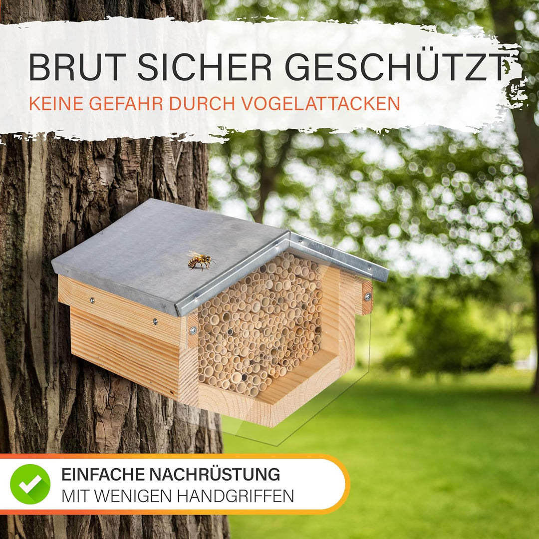 Beesi Wildbienenhotel mit Vogelschutz I Dach wetterfest I Nisthülsen aus Bambus I hochwertiges Insek