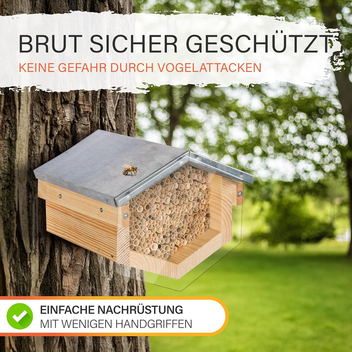 Beesi Wildbienenhotel mit Vogelschutz I Dach wetterfest I Nisthülsen aus Bambus I hochwertiges Insek