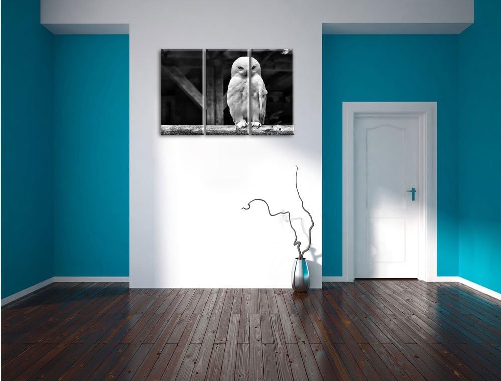 Pixxprint Weisse Schneeeule als Leinwandbild | Grösse: 3 Teilig (120x80) | Wandbild| Kunstdruck | fe