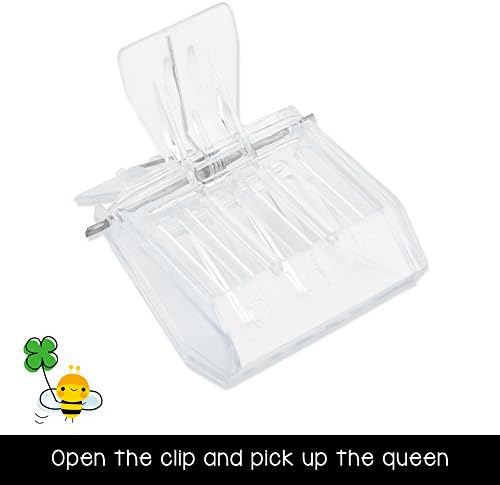 Set von 7 PC -Appizierwerkzeugen, Bienenbürste Queen Markierungskäfig Gabel zum Aufstehen Königinfän