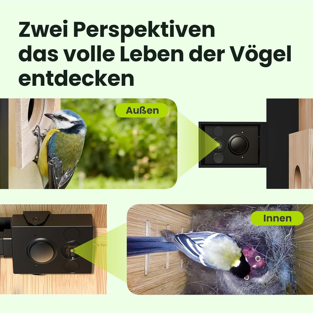 Birdfy Smart Vogelhaus mit Doppelkamera für Live Vogelbeobachtung, 1080P Bambus Nistkasten mit Kamer