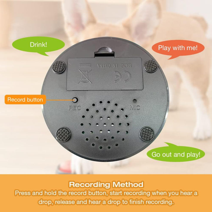 Buzzer Mit Aufnahmefunktion Hunde, 4 Stück Answer Buzzers Hund, Buzzer mit Sound Hund, Answer Buzzer