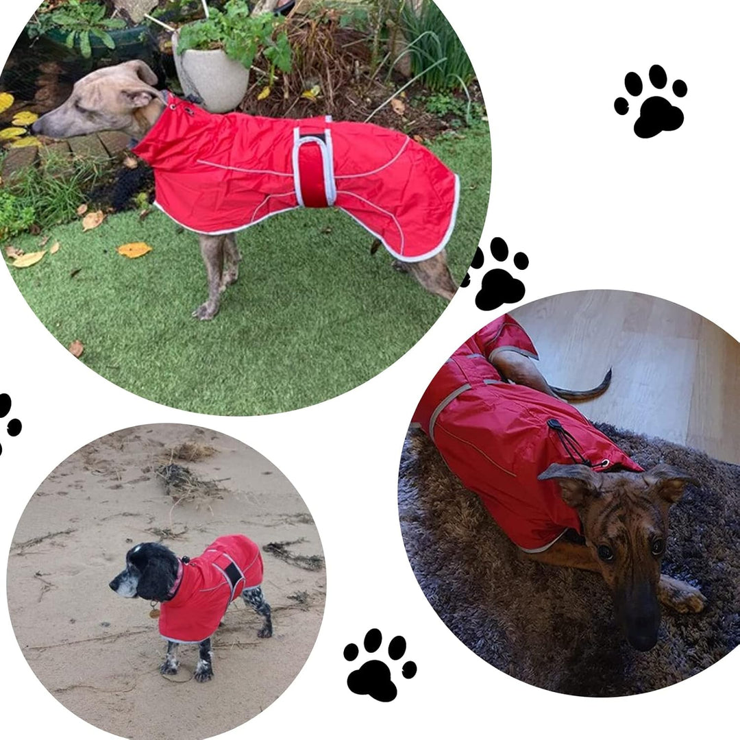 Geyecete- Wasserdicht Windhunde Mantel Fleece Whippet Pullover Winterjacke,Verstellbaren Reflektiere