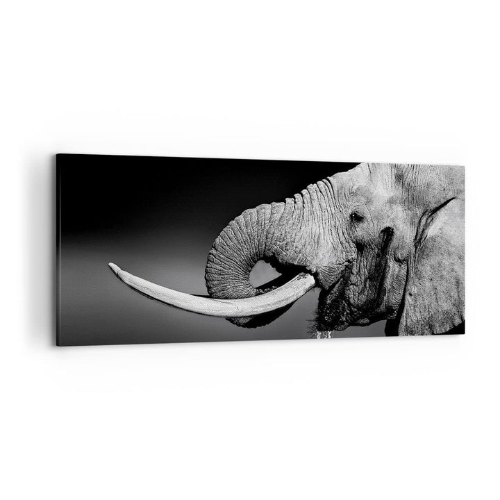Wandbilder Dekoration Wohnzimmer Elefant Stosszahn Natur Panorama Bilder auf Leinwand 120x50cm Leinw