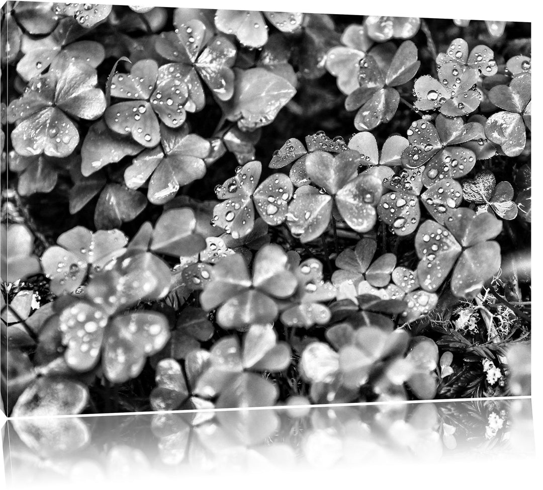 Pixxprint kleine Kleeblätter als Leinwandbild/Grösse: 100x70 / Wandbild/Kunstdruck/fertig bespannt,